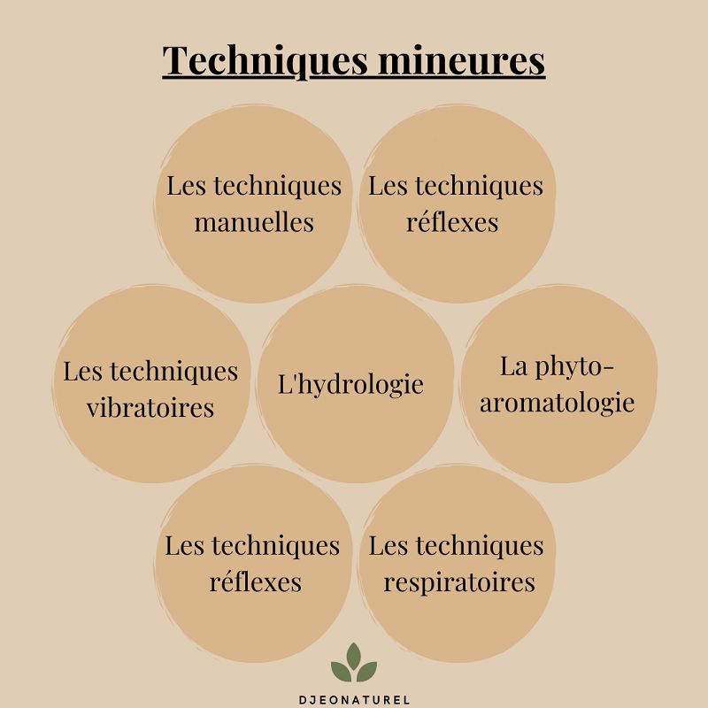 techniques-mineures-naturopathe-naturopathie