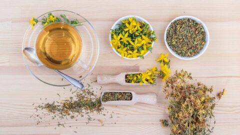 quelles-sont-les-techniques-utilisees-par-le-naturopathe